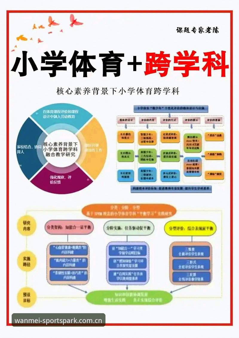 完美体育专业平台使用指南：从新手到高阶玩家的创新探索路径